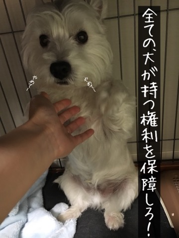 20180412230143c79.jpg