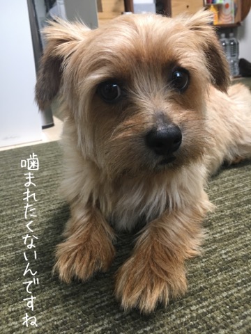 20180706074827c0b.jpg