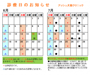 診療日カレンダー（2018年6-7月）