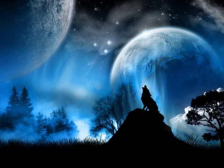 572d7a18b9f4c17770a019635936f58c--wolf-howling-space-wolves.jpg