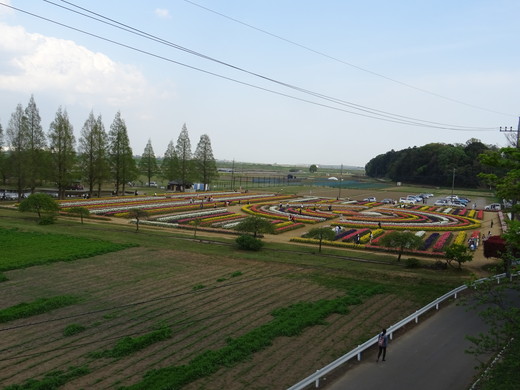 180412_002.jpg