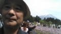 富士芝桜まつり１ 005